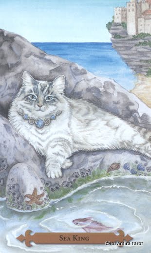 Mystical Cats Tarot